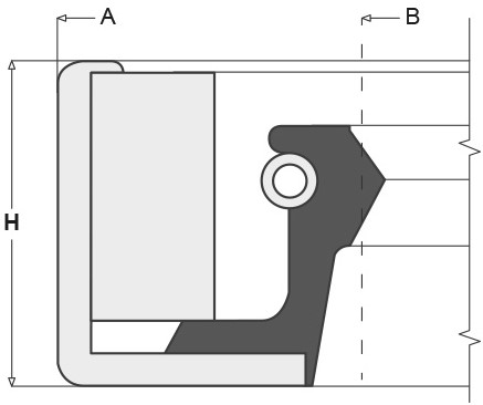 L1A