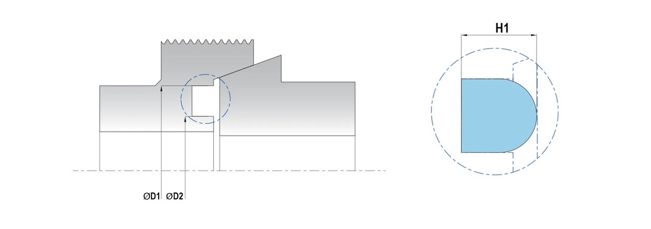 TENUTE STATICHE FLANGE DN - DIN11851